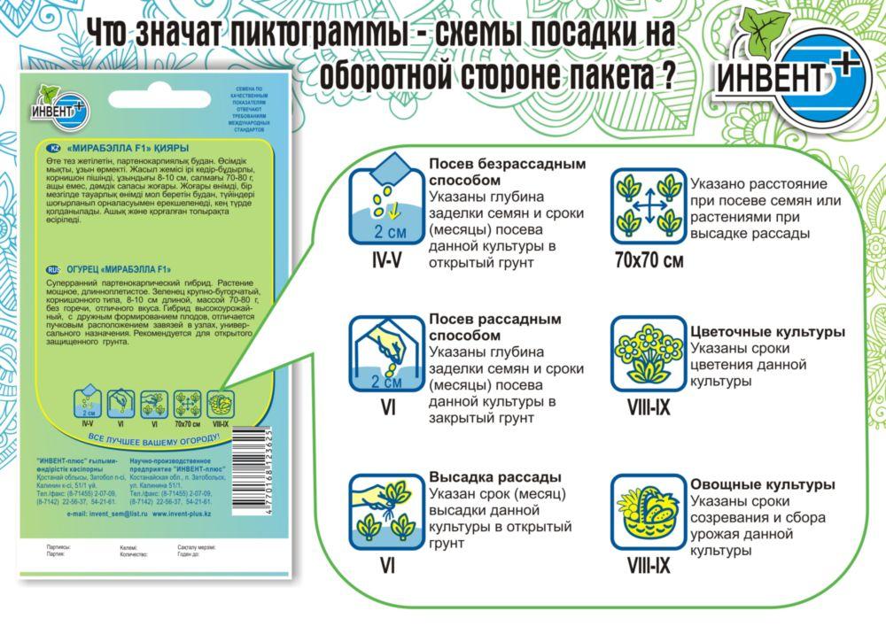 На пакетике семян огурцов указан процент