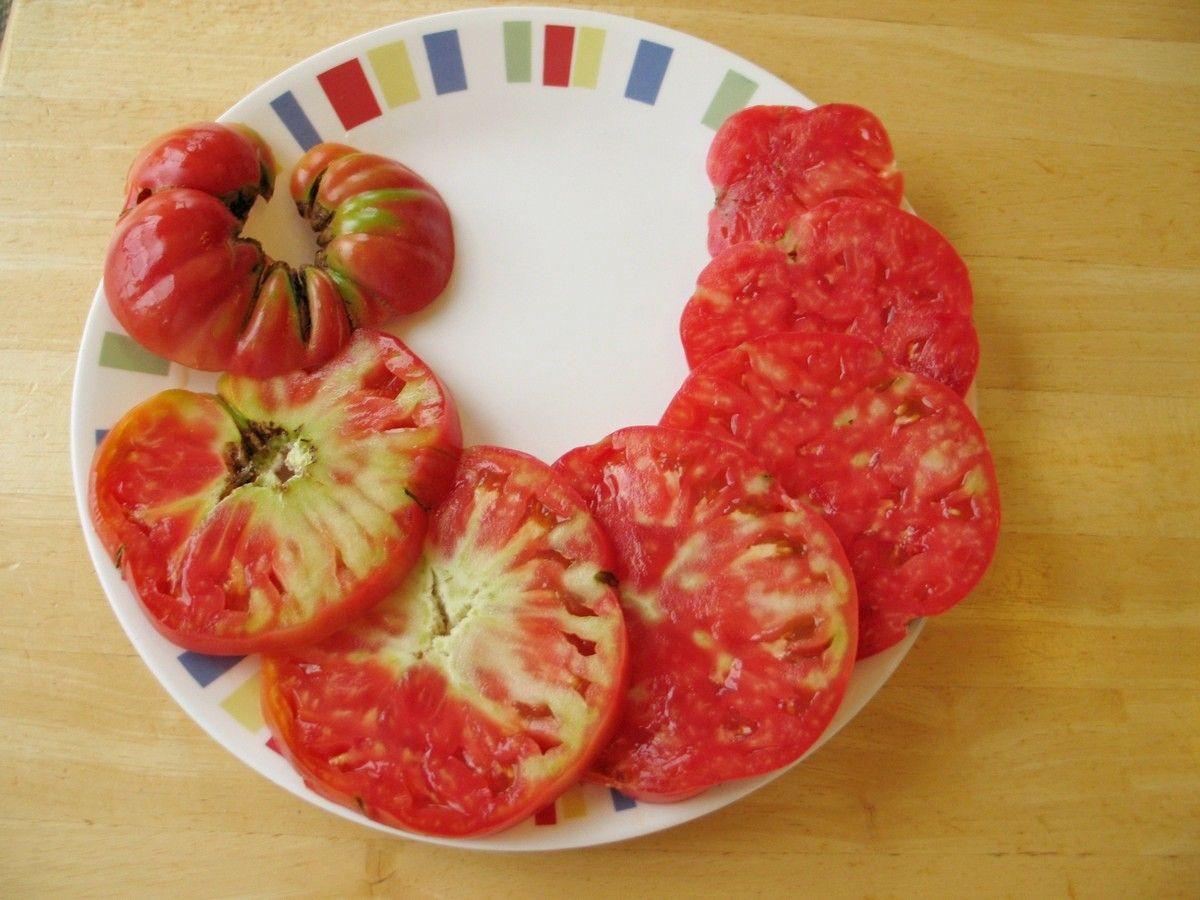 Мякоть помидоров рецепт. Столбур томатов. Столбур плодов томатов. Столбур (фитоплазмоз) томатов. Болезни томатов столбур.